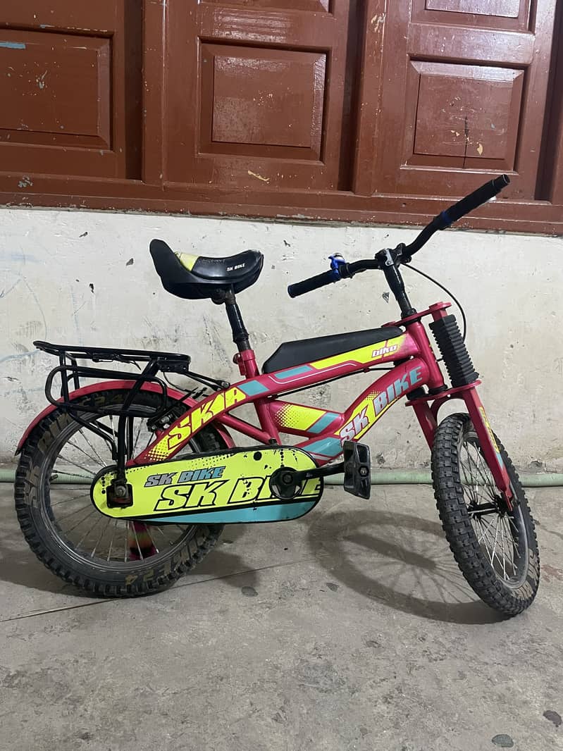 Bacycles 1