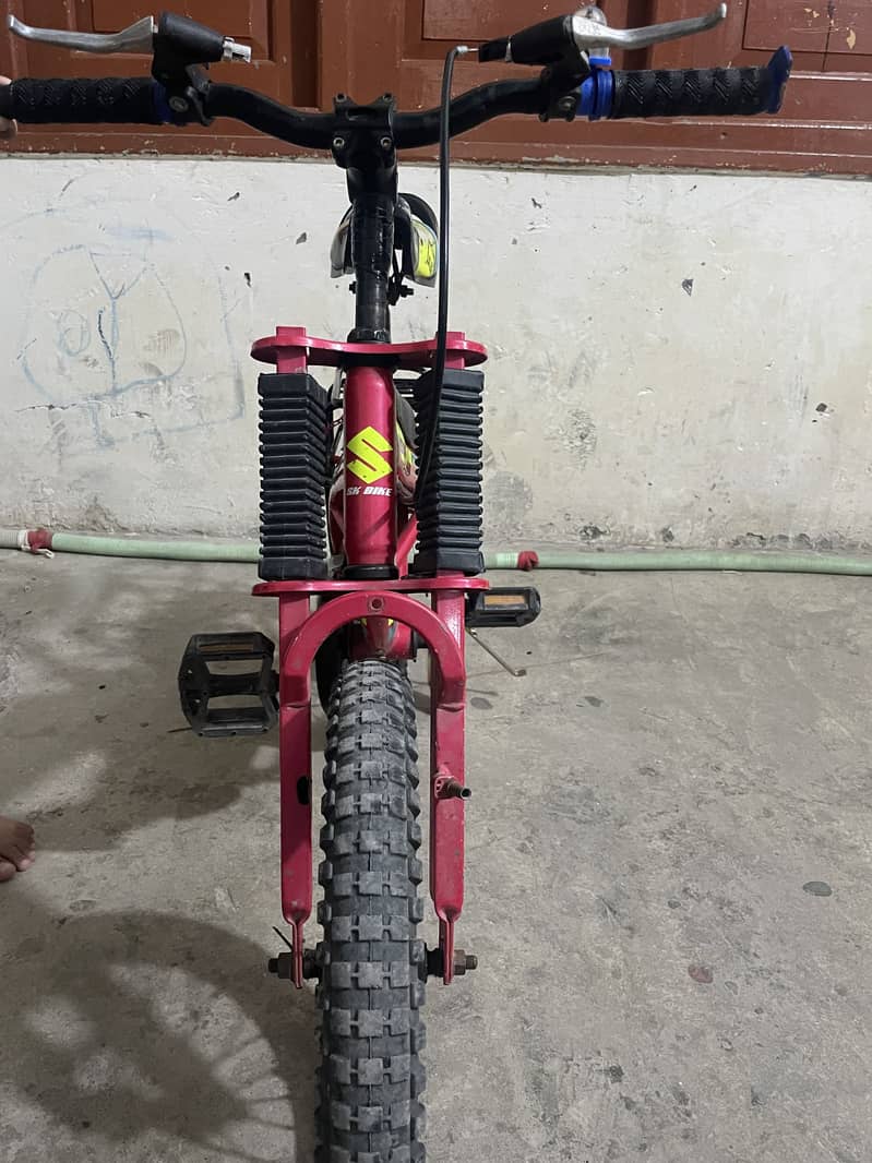 Bacycles 2