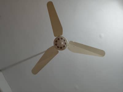 fast fan