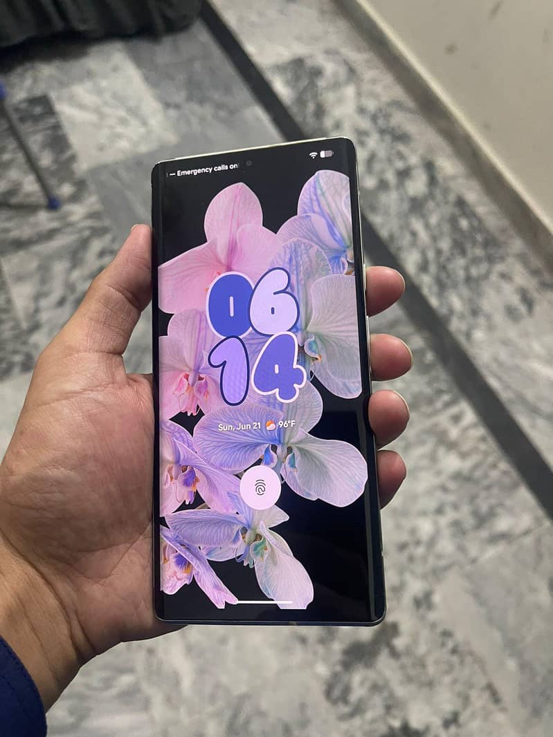 Google Pixel 6 Pro 1
