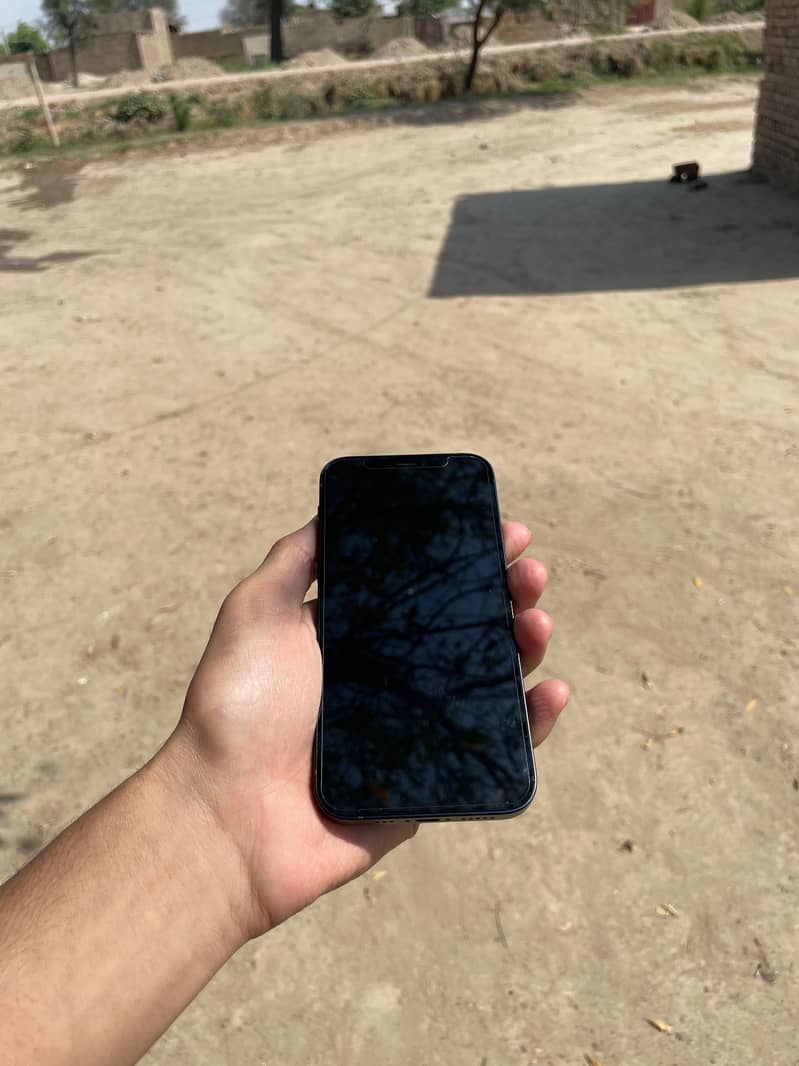 Apple iPhone 12 5