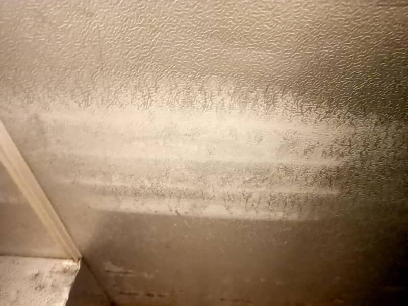 Deep freezer 2