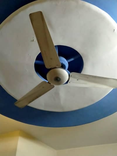 Pak Fan