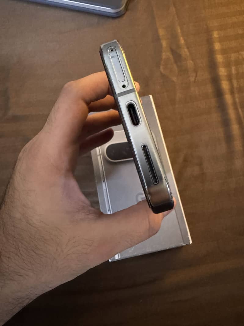 Google Pixel 9 Pro 1