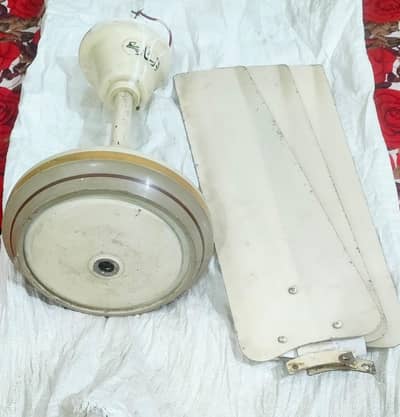 Ceiling Fan for Sale – Urgent Sell