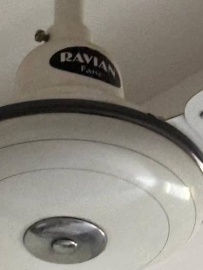 ravian fans