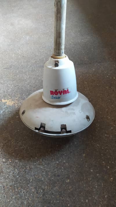 Royal ceiling fan