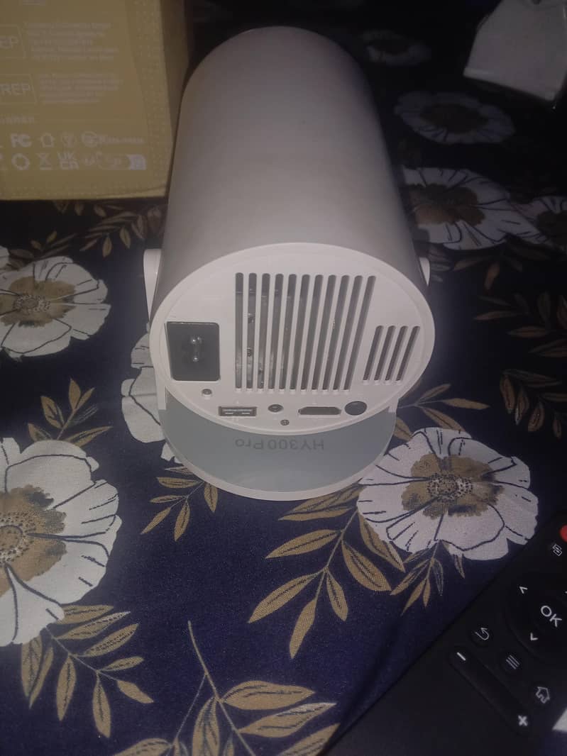 tv projector 2
