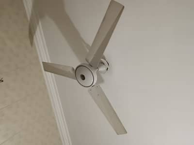 Ceiling fans for sale