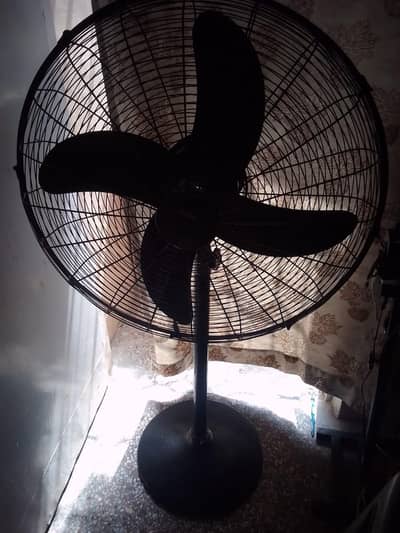 electric fan