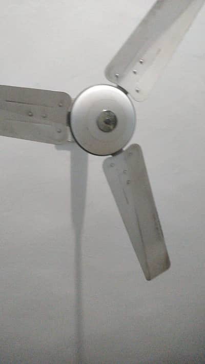 pak fan