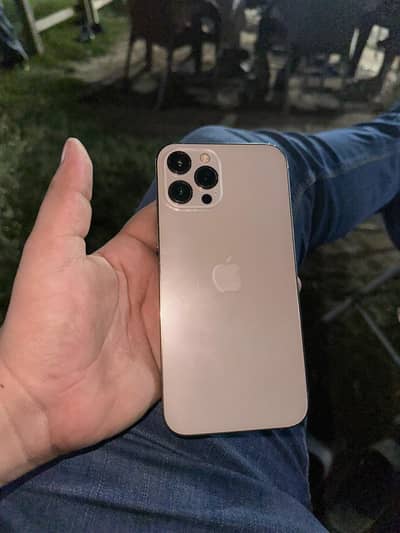 Apple iPhone 12 Pro Max