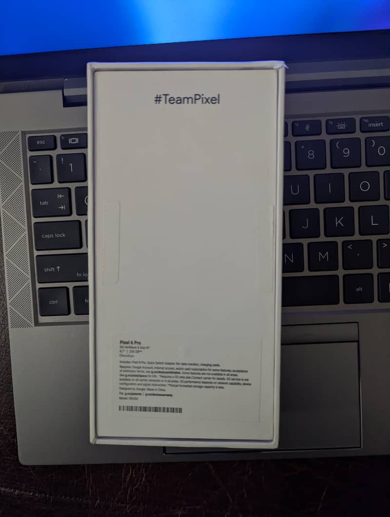 Google Pixel 6 Pro 1