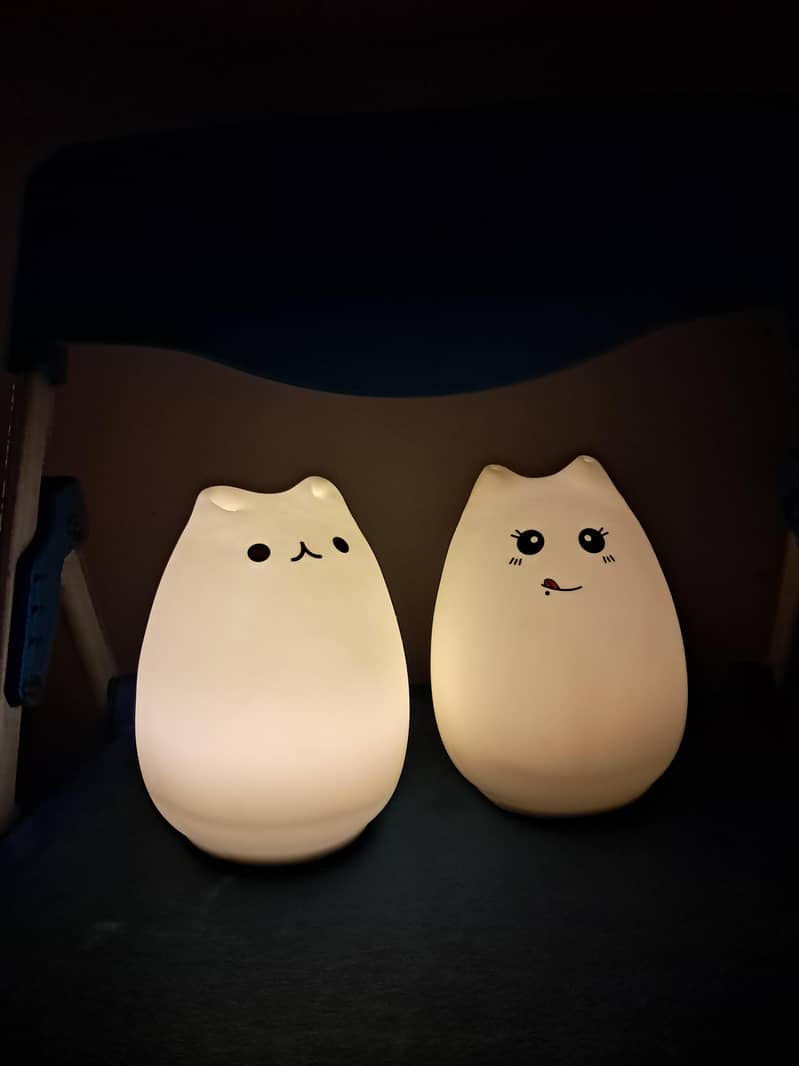 silicon material chargeable light 1