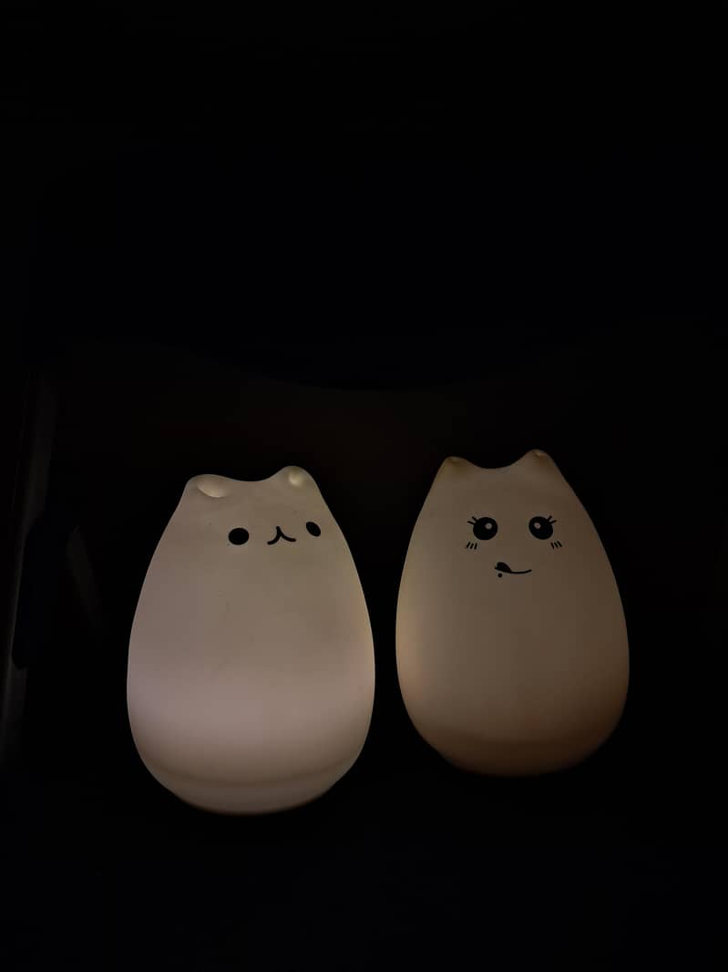 silicon material chargeable light 2