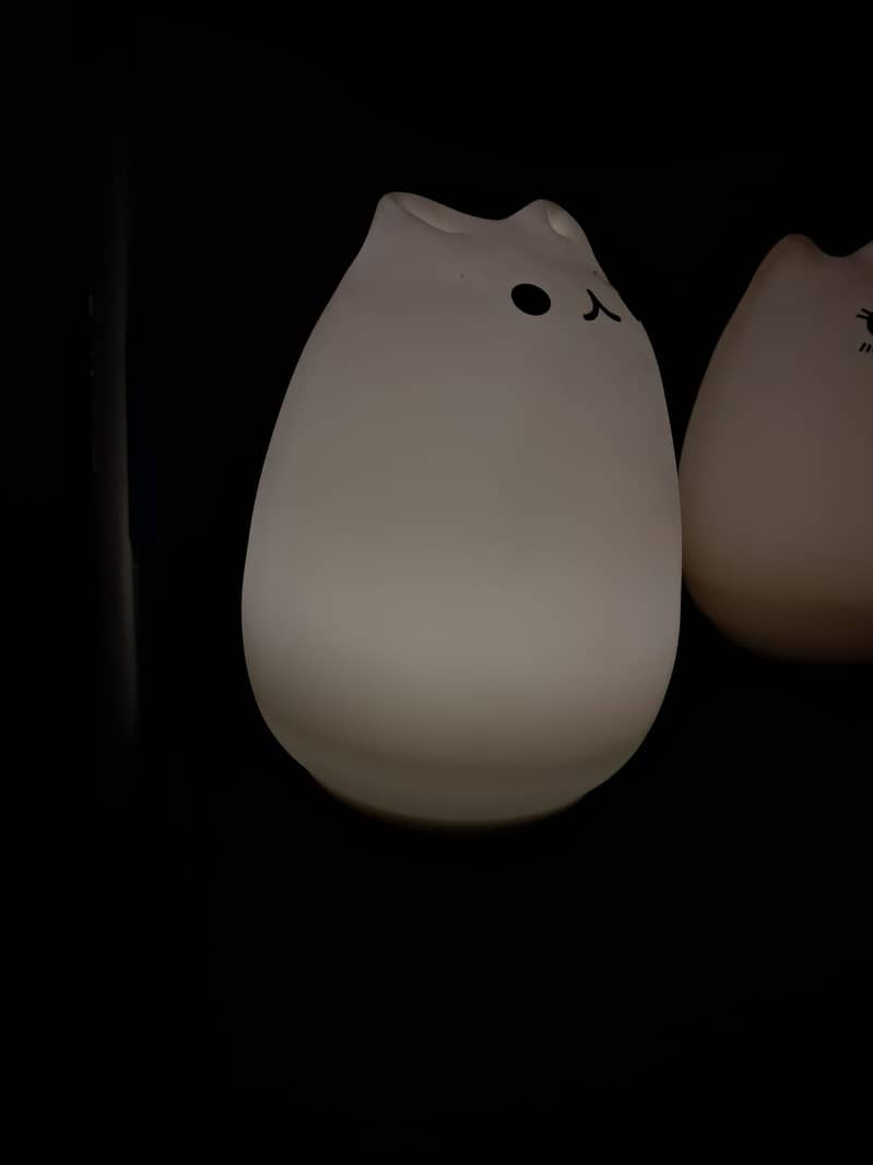 silicon material chargeable light 3
