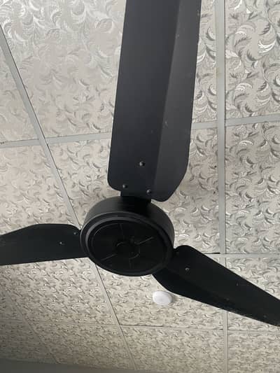 sk fan