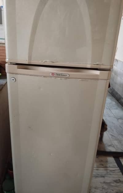 Neat And clean Best condition