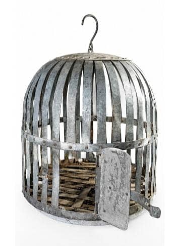 Green Ring neck parrot cage Full iron video Avaliable