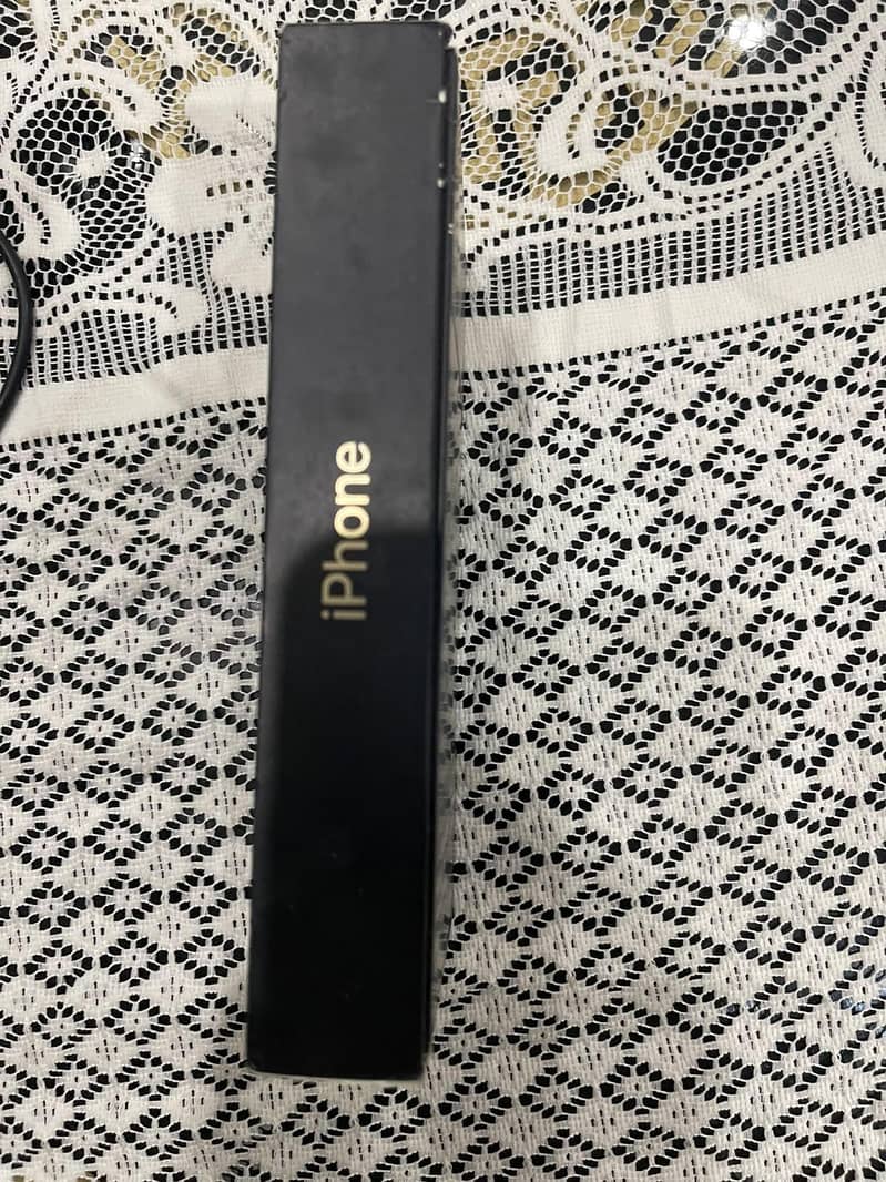 12 pro max 4