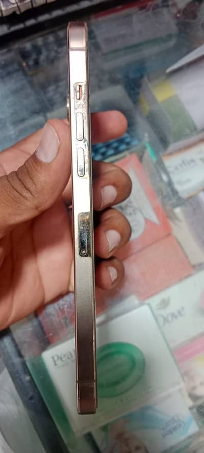 Apple iPhone 12 Pro Max
