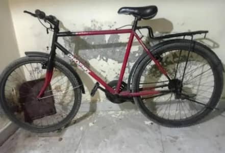 Phoenix bicycle