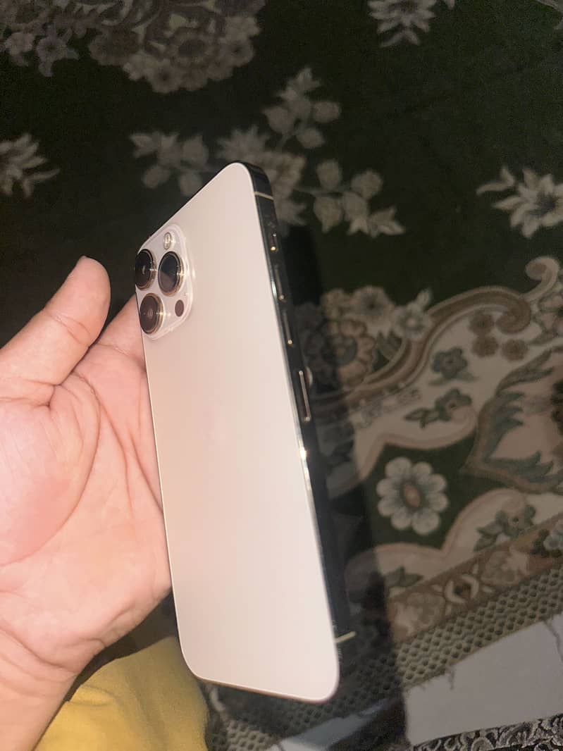 Apple iPhone 13 Pro Max 1