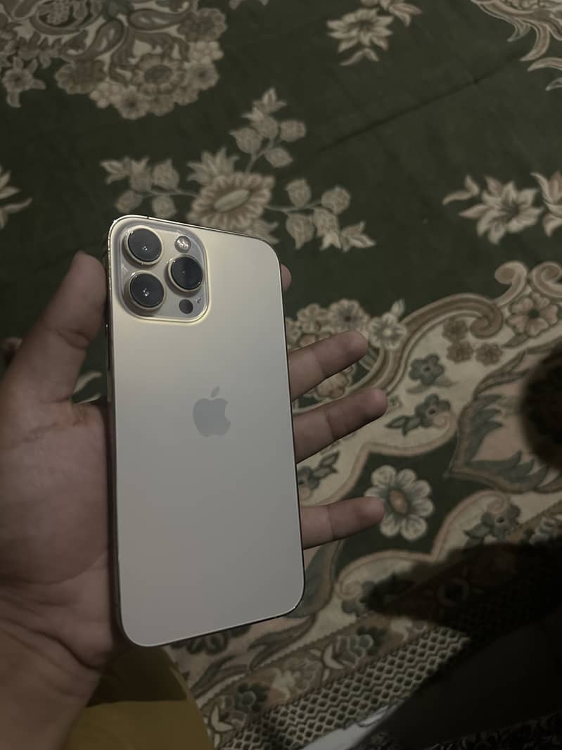 Apple iPhone 13 Pro Max 3