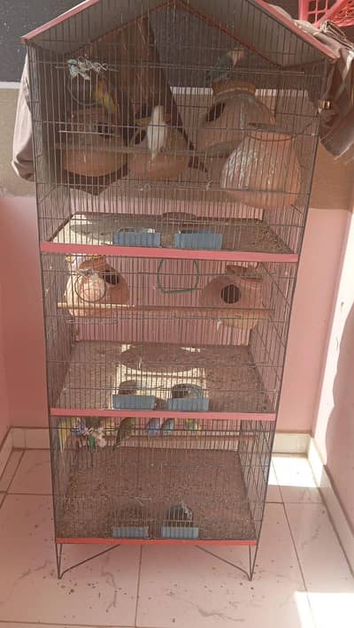 Cage for parrot "Urgent Sale"