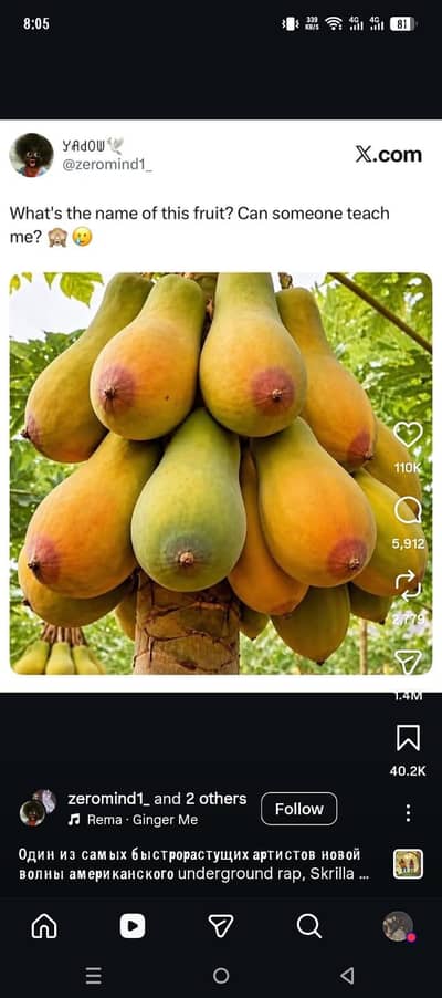 looking for a female