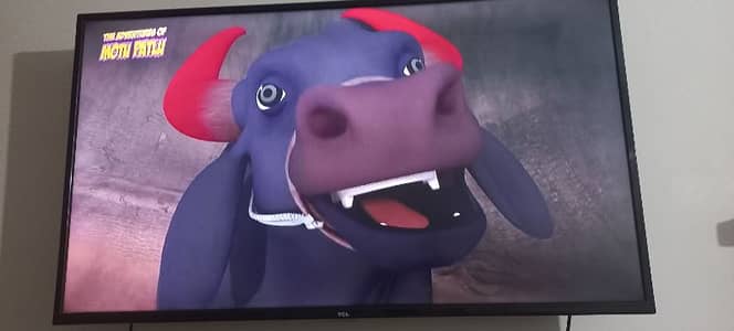 Tcl 40 inch simple LED