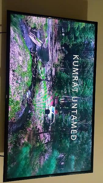 Tcl 40 inch simple LED 2