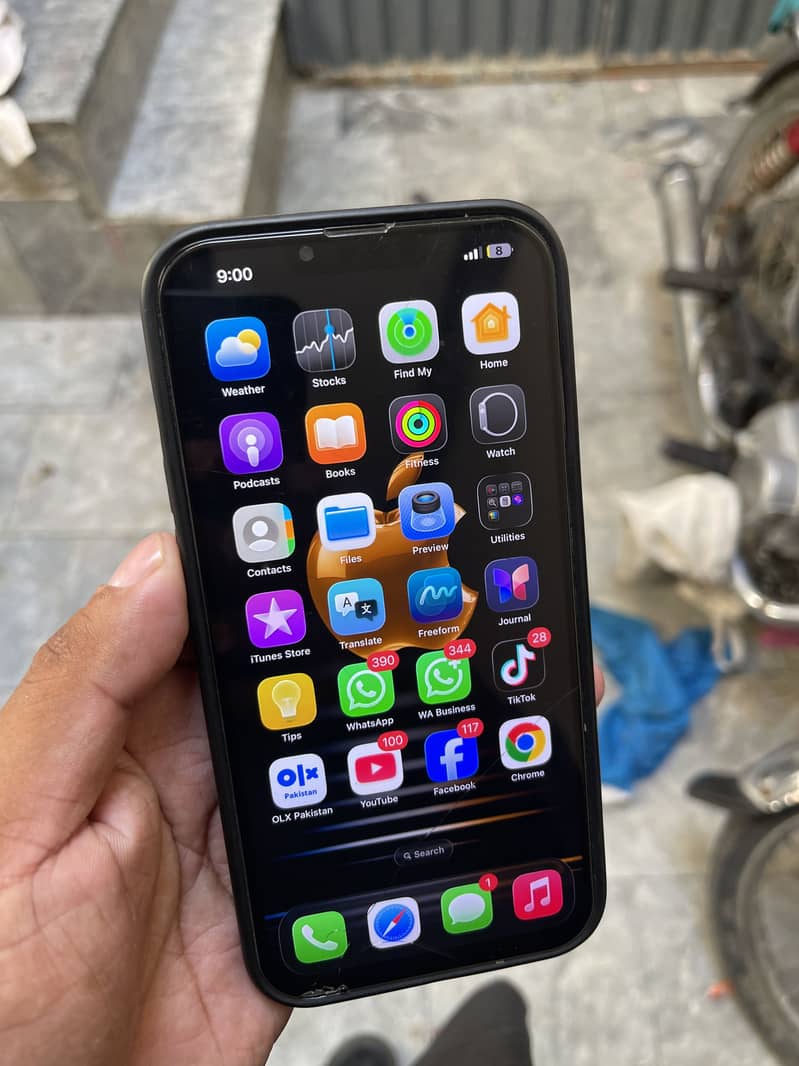 iPhone 13 Pro Max 8