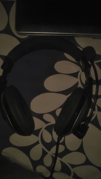 wired headphone