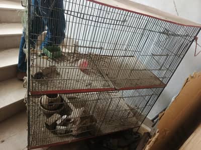 cage 4 portion