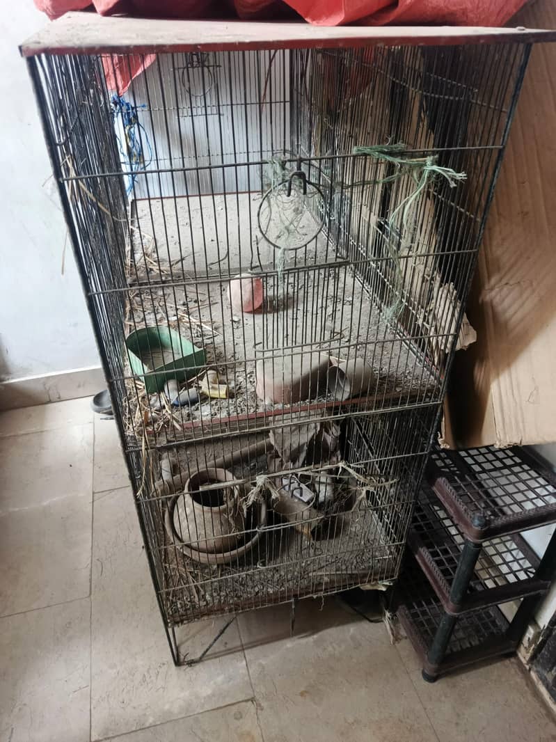 cage 4 portion 1