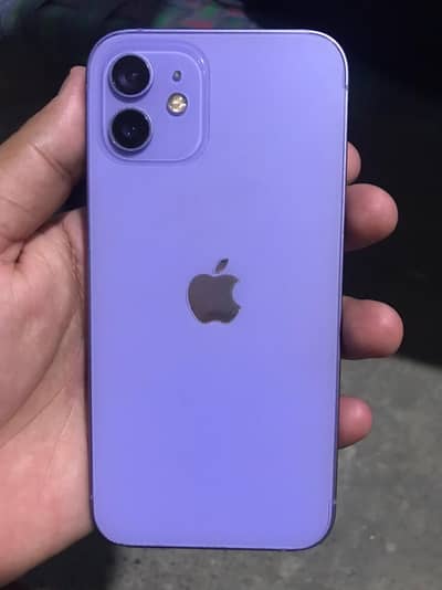 Apple iPhone 12(Exchange possible)