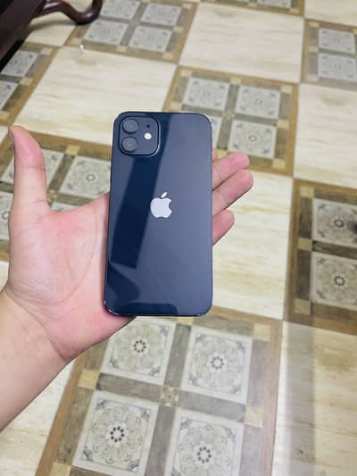 Apple iPhone 12 neat and clean condition