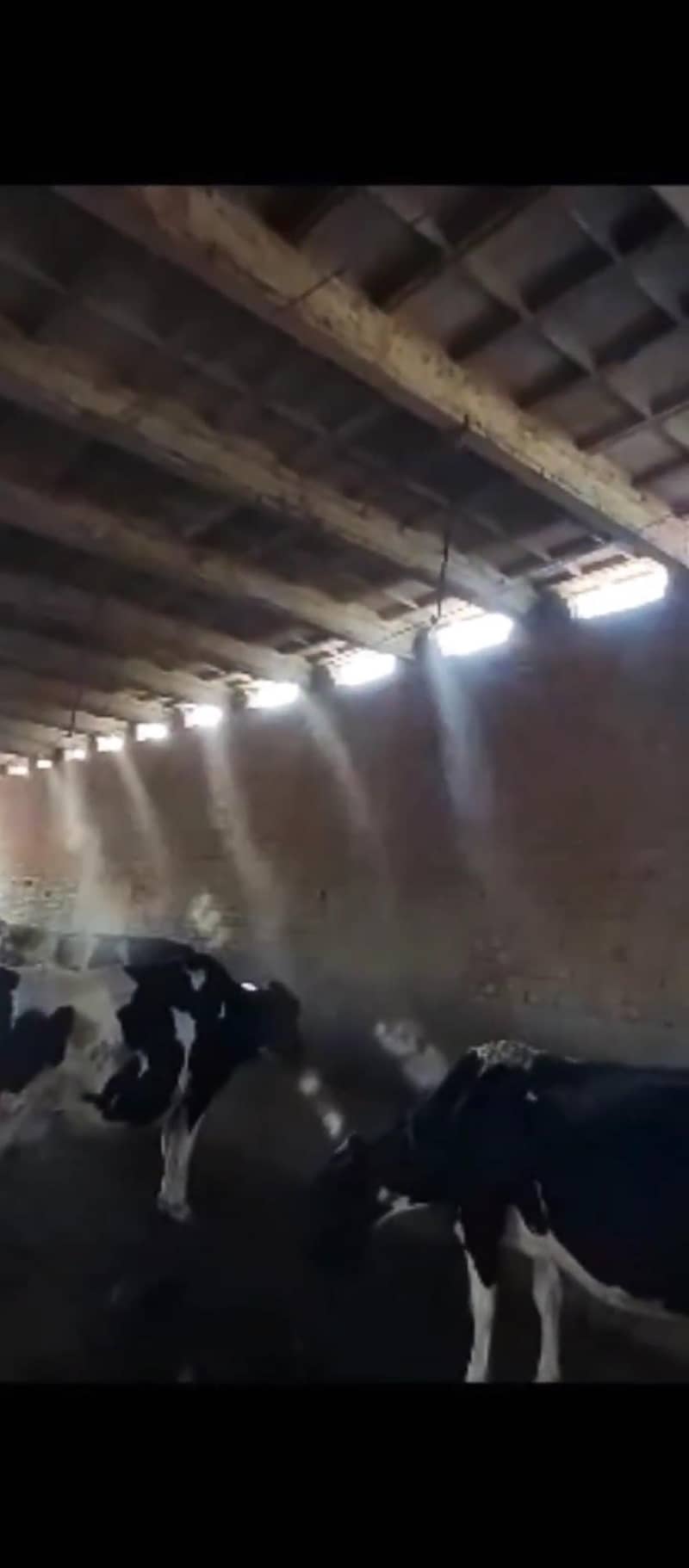 cooling mist system 0