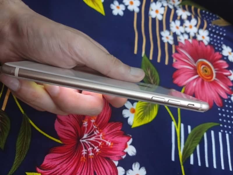 Apple iPhone 8 Plus 4
