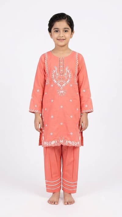 Embroidered girl stitched Dress