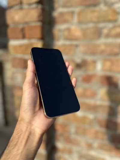 Apple iPhone 13 Pro Max non pta 256gb
