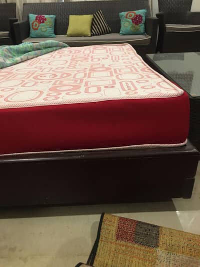 Molty master mattress