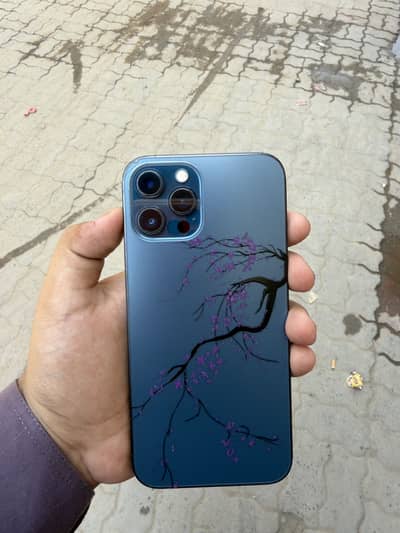 Apple iPhone 12 Pro Max