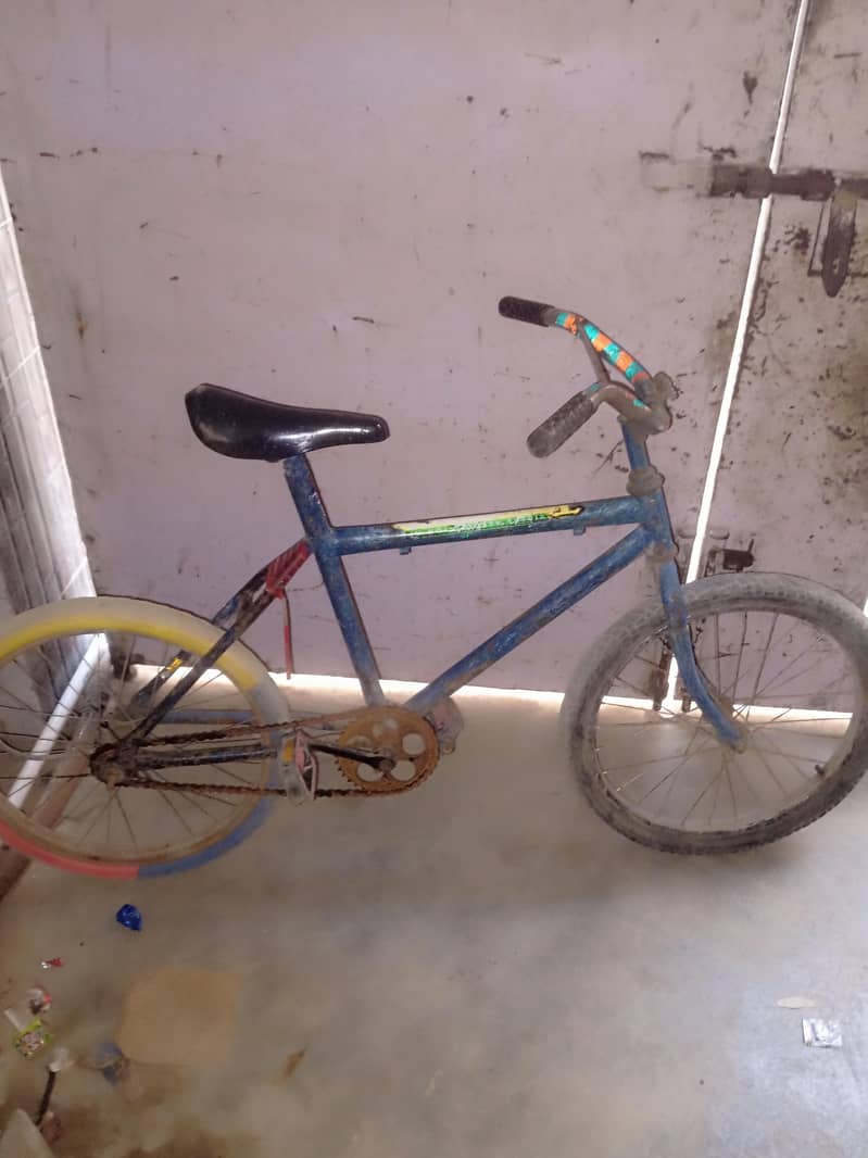 Bicycle 0