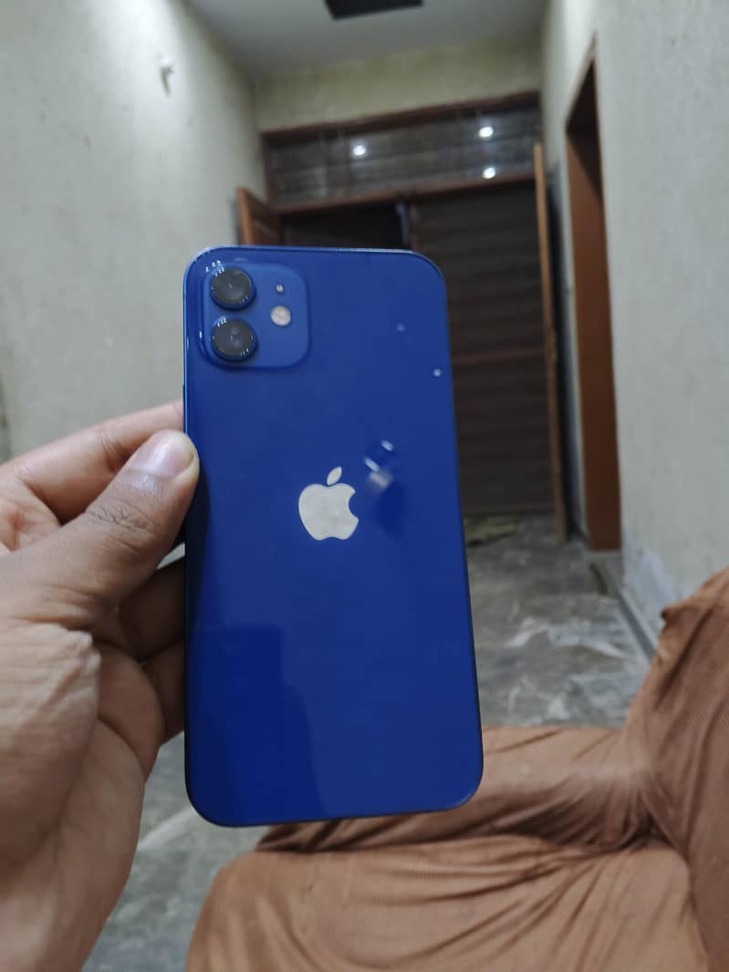 IPHONE 12 6