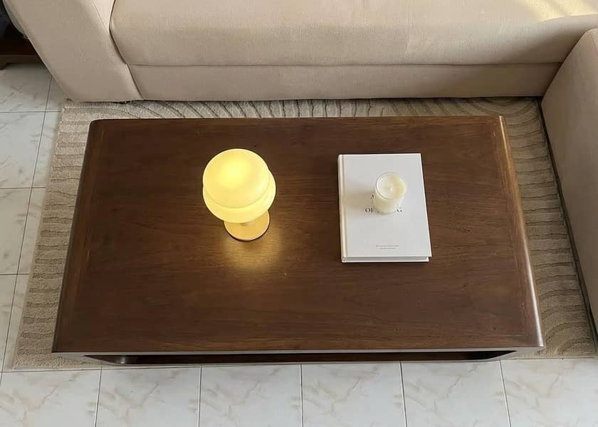 Modern Modular L-Shape Sofa Set + Tables 2