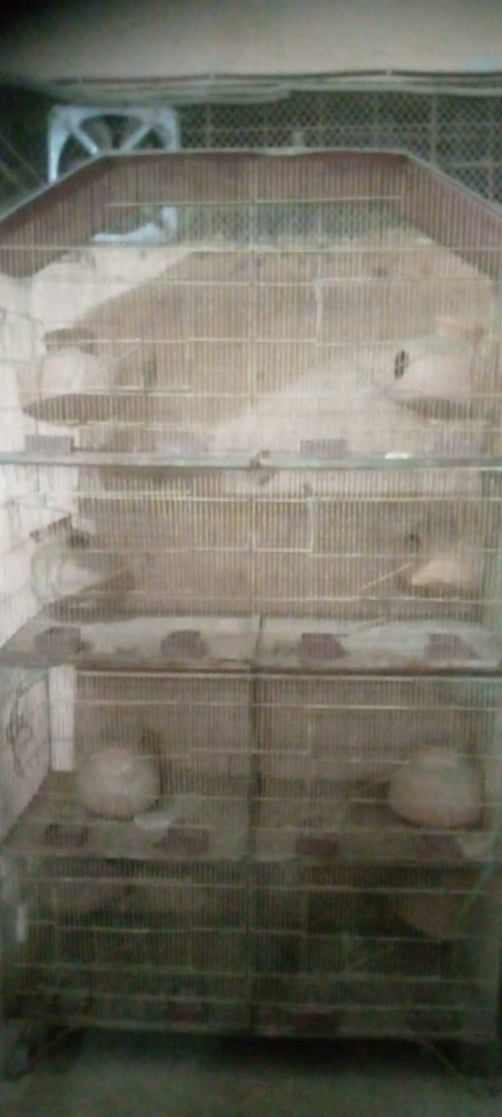 cages 2