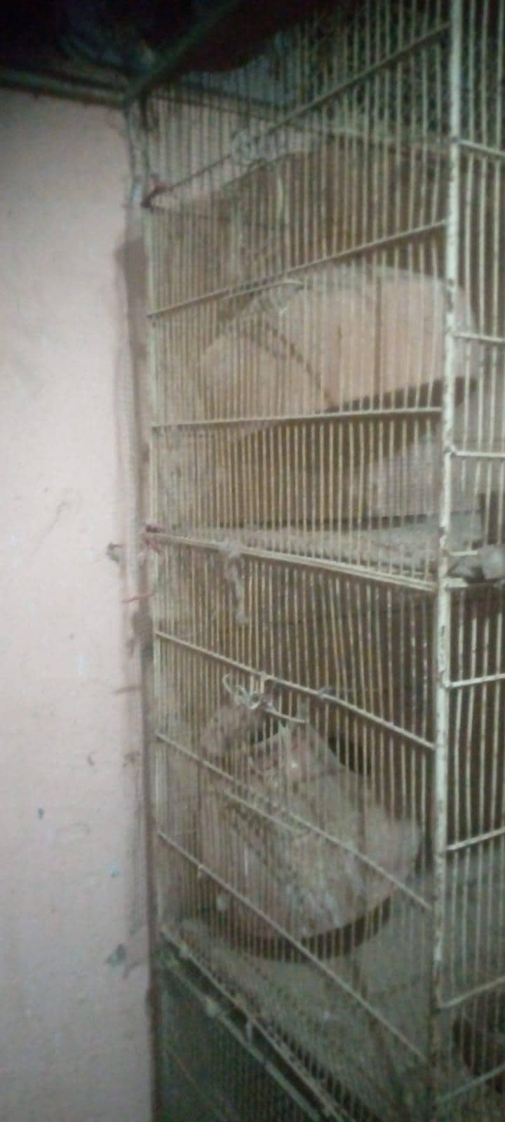 cages 3