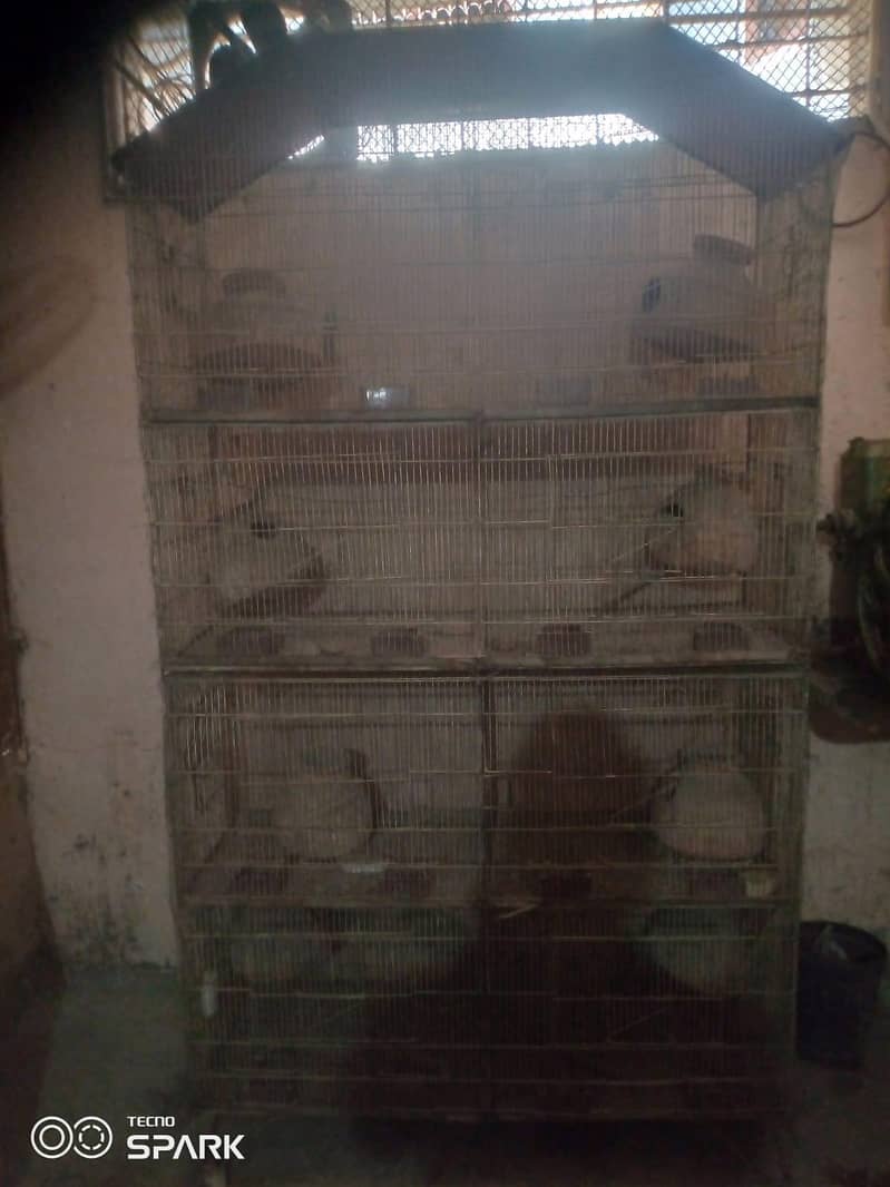cages 4